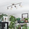 Saire Plafonnier, Spot de plafond Chrome, Nickel mat, 4 lumières
