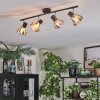 Saire Plafonnier, Spot de plafond Chrome, Noir, 4 lumières