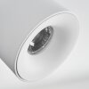 Narel Plafonnier, Spot de plafond LED Blanc, 2 lumières