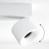 Narel Plafonnier, Spot de plafond LED Blanc, 2 lumières