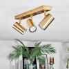 Javel Plafonnier, Spot de plafond Or, 3 lumières