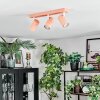 Javel Plafonnier, Spot de plafond Rose, Blanc, 3 lumières