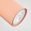 Javel Plafonnier, Spot de plafond Rose, Blanc, 3 lumières