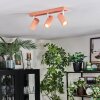 Javel Plafonnier, Spot de plafond Rose, Blanc, 3 lumières