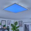 Orain Plafonnier, Panel LED Blanc, 1 lumière, Changeur de couleurs