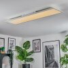 Orain Plafonnier, Panel LED Blanc, 1 lumière, Changeur de couleurs