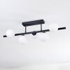 Chehalis Plafonnier, Boule lumineuse Noir, 5 lumières