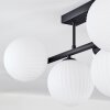 Chehalis Plafonnier, Boule lumineuse Noir, 5 lumières Chehalis Plafonnier, Boule lumineuse Noir, 5 lumières