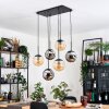 Gastor Suspension, Boule lumineuse, Suspension Noir, 6 lumières