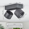 Narel Plafonnier, Spot de plafond LED Noir, 2 lumières