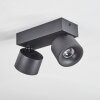 Narel Plafonnier, Spot de plafond LED Noir, 2 lumières