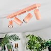 Javel Plafonnier, Spot de plafond Rose, Blanc, 4 lumières