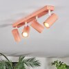 Javel Plafonnier, Spot de plafond Rose, Blanc, 4 lumières