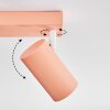 Javel Plafonnier, Spot de plafond Rose, Blanc, 4 lumières