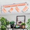 Javel Plafonnier, Spot de plafond Rose, Blanc, 4 lumières