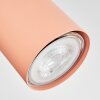 Javel Plafonnier, Spot de plafond Rose, Blanc, 4 lumières