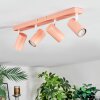 Javel Plafonnier, Spot de plafond Rose, Blanc, 4 lumières
