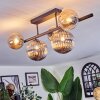 Chehalis Plafonnier, Boule lumineuse Noir, 5 lumières
