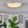Peran Plafonnier LED Blanc, 1 lumière