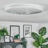 Peran Plafonnier LED Blanc, 1 lumière, Changeur de couleurs