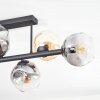 Ripoll Plafonnier, Boule lumineuse Ambre, Clair, Fumé, 6 lumières