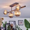 Chehalis Plafonnier, Boule lumineuse Fumé, 5 lumières