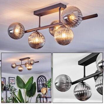Chehalis Plafonnier, Boule lumineuse Fumé, 5 lumières