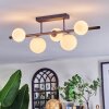Chehalis Plafonnier, Boule lumineuse Blanc, 5 lumières