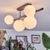 Chehalis Plafonnier, Boule lumineuse Blanc, 5 lumières