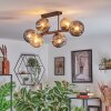 Ripoll Plafonnier, Boule lumineuse Ambre, Fumé, 6 lumières