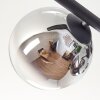 Gastor Plafonnier, Boule lumineuse Chrome, Clair, Fumé, 5 lumières