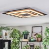 Lidor Plafonnier LED Anthracite, Gris, Noir, 1 lumière