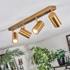 Javel Plafonnier, Spot de plafond Or, 4 lumières