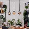 Gastor Suspension, Boule lumineuse, Suspension Ambre, Fumé, 3 lumières