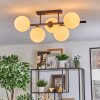 Gastor Plafonnier, Boule lumineuse Blanc, 5 lumières