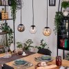 Gastor Suspension, Boule lumineuse, Suspension Ambre, Clair, Fumé, 3 lumières