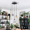 Gastor Suspension, Boule lumineuse, Suspension Ambre, Clair, Fumé, 3 lumières