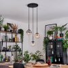 Gastor Suspension, Boule lumineuse, Suspension Ambre, Clair, Fumé, 3 lumières