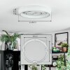 Rarel Plafonnier LED Argenté, Blanc, 1 lumière