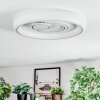 Rarel Plafonnier LED Argenté, Blanc, 1 lumière