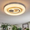 Rarel Plafonnier LED Argenté, Blanc, 1 lumière