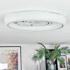 Rarel Plafonnier LED Argenté, Blanc, 1 lumière