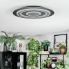 Lidor Plafonnier LED Noir, 1 lumière