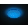 Plafonnier Reality CHARA LED Blanc, 1 lumière, Télécommandes, Changeur de couleurs