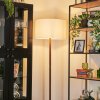 Flemming Lampadaire Écru, 1 lumière