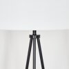 Flemming Lampadaire Noir, 1 lumière