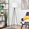 Flemming Lampadaire Noir, 1 lumière