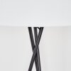 Flemming Lampadaire Noir, 1 lumière
