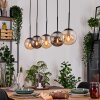 Gastor Suspension, Boule lumineuse, Suspension Ambre, Fumé, 5 lumières