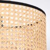 Ramila Plafonnier Écru, Noir, 1 lumière